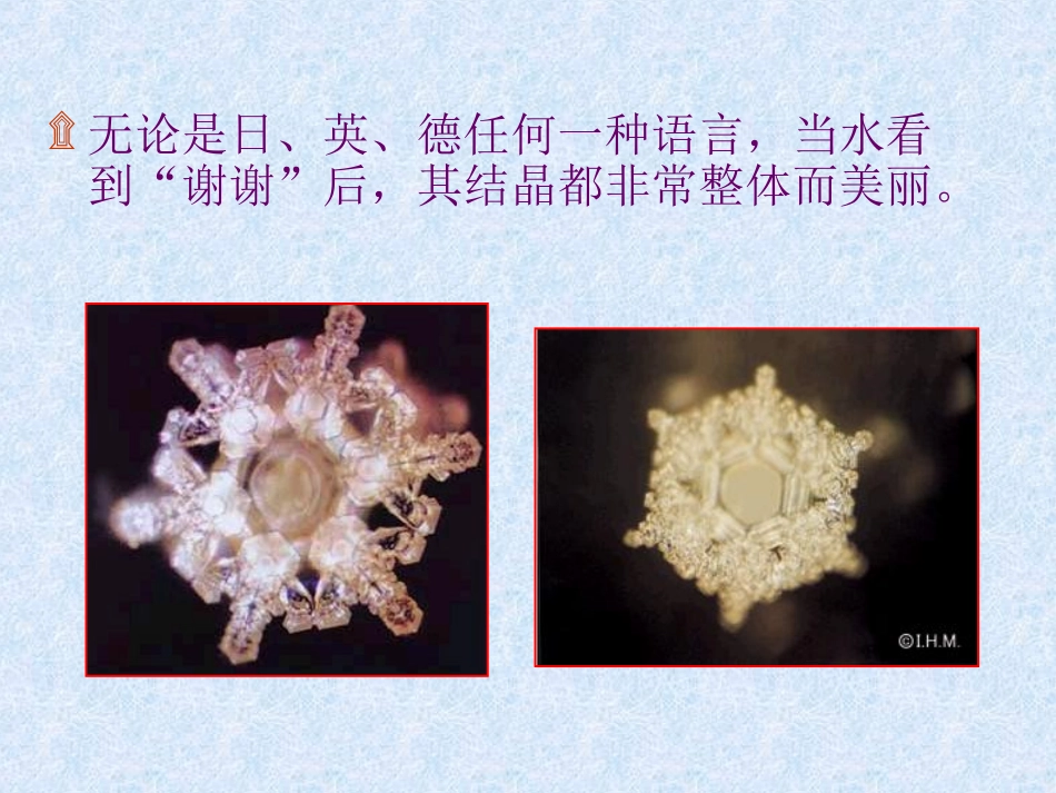 善恶念与水分子结晶的科学实验_第2页