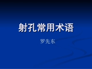 射孔常用术语