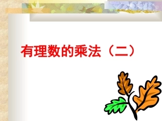 有理数的乘法第二课时