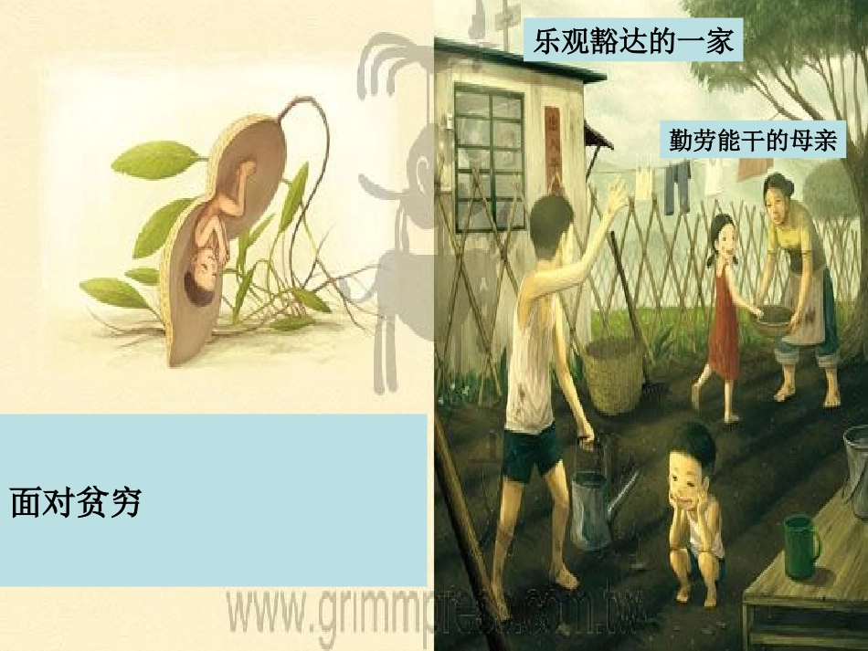 第三轮落花生_第3页