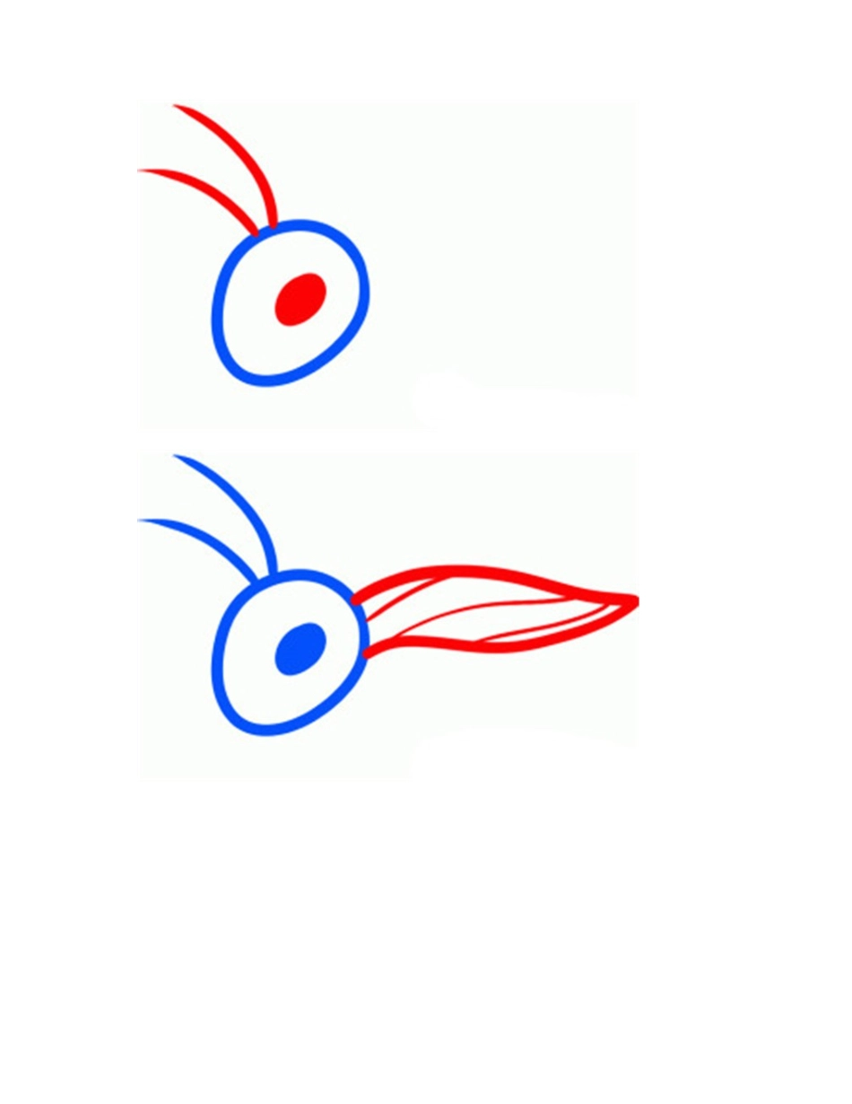 蟋蟀怎么画简笔画_简笔画教程_第2页