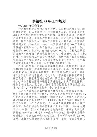 供销社XX年工作规划 (2)