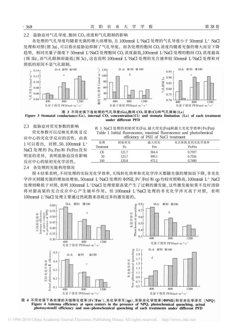 轻度盐胁迫对甜高粱光合作用激发能分配的影响_第3页