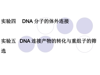 实验四--五 DNA连接与转化