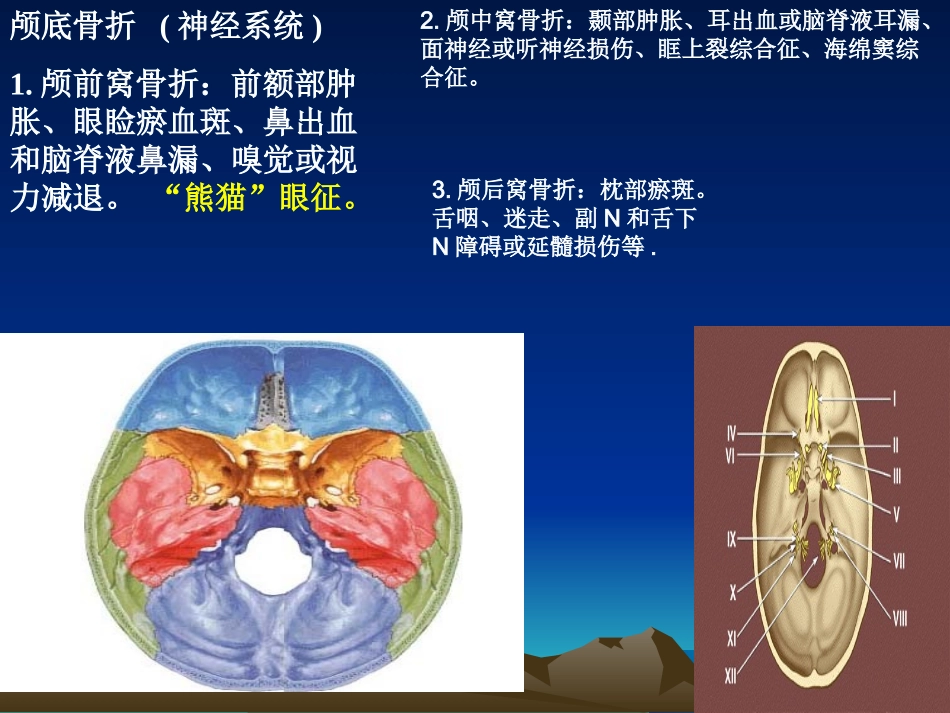 颅底中英文孔口诀_第3页