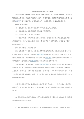 搭建集团化管理架构及体系建设
