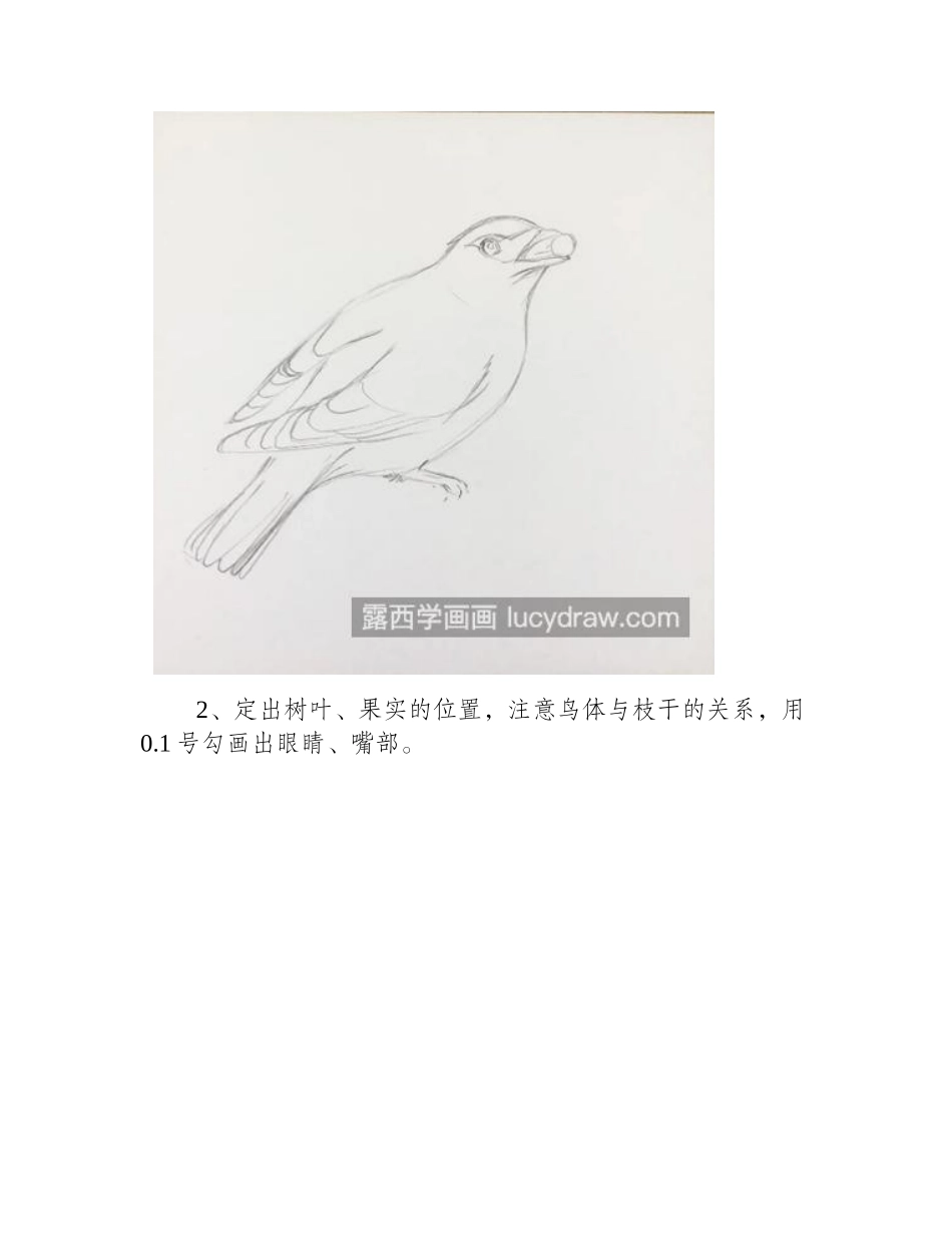 十二黄怎么画_太平鸟的简笔画步骤有几步_简笔画教程1_第2页