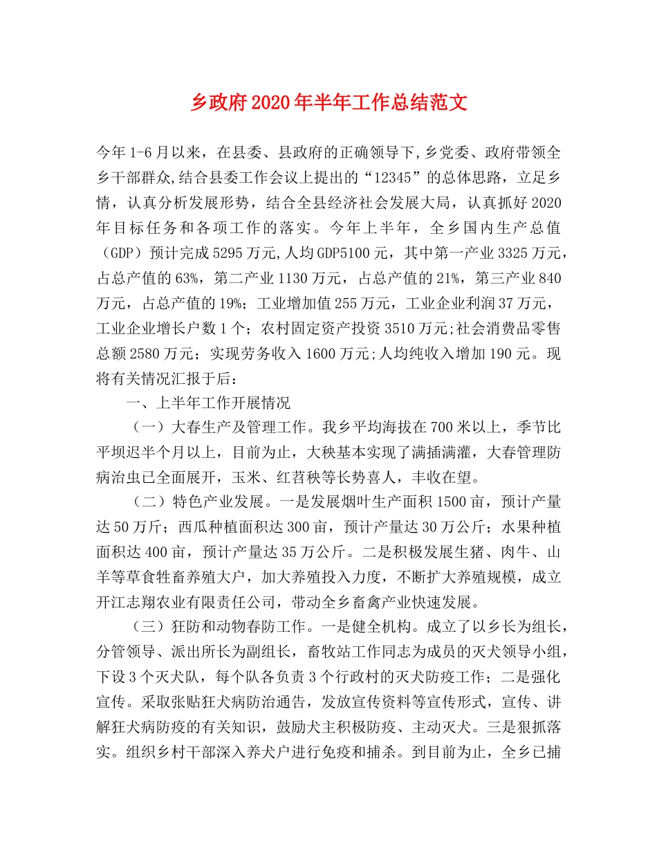 乡政府2024年半年工作总结范文 _第1页