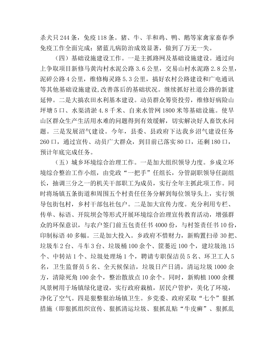 乡政府2024年半年工作总结范文 _第2页
