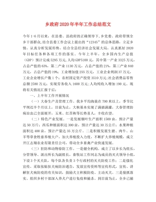 乡政府2024年半年工作总结范文 