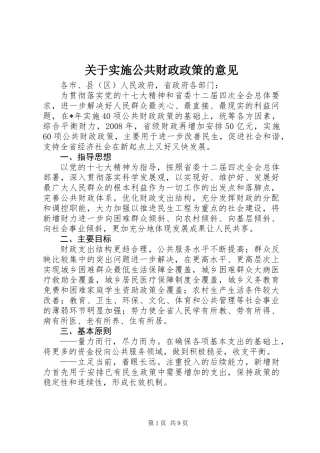 关于实施公共财政政策的意见