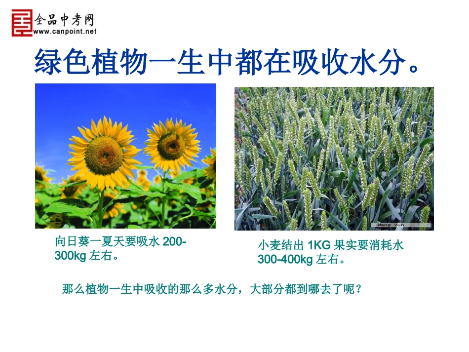陈蓓八年级生物上册（181)课件_第2页