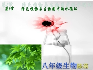 陈蓓八年级生物上册（181)课件