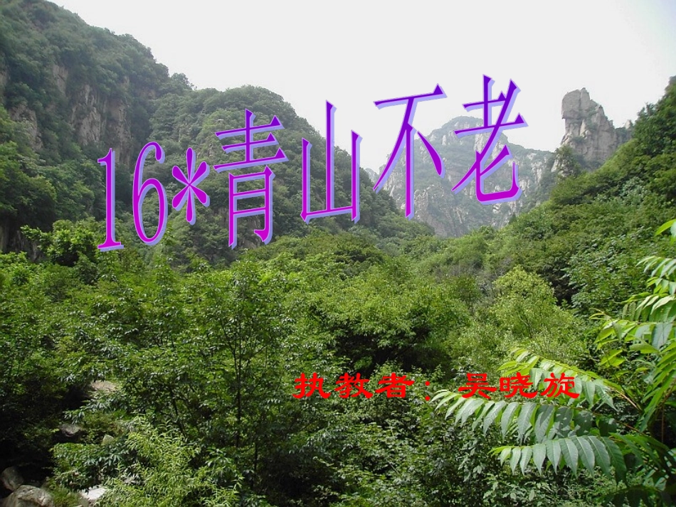 青山不老[1]_第2页