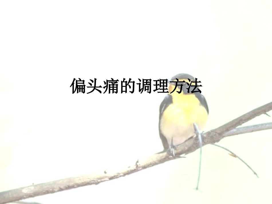 偏头痛的调理方法_第1页