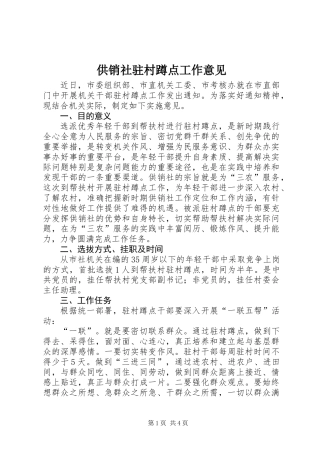 供销社驻村蹲点工作意见