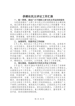 供销社民主评议工作汇报