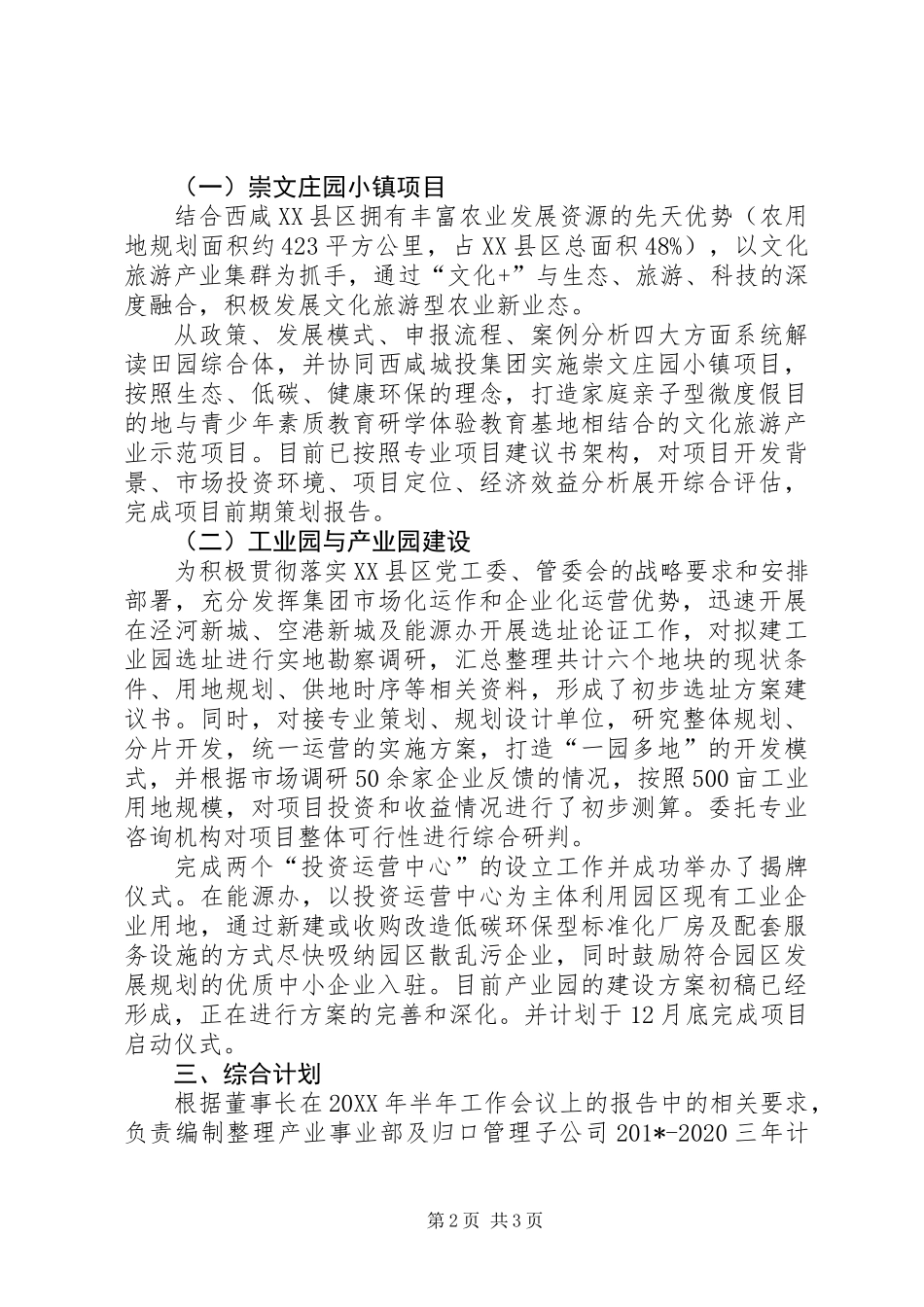 201X年大型公司工作总结_第2页