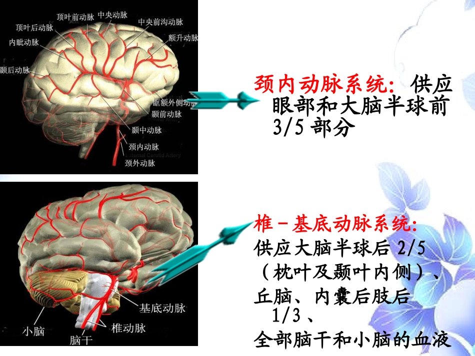 脑血管疾病病人的护理_第3页