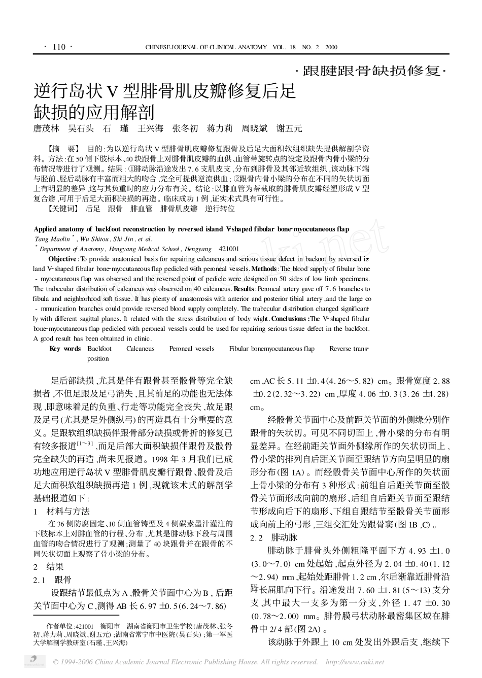 逆行岛状V 型腓骨肌皮瓣修复后足缺损的应用解剖_第1页