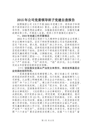 201X年公司党委领导班子党建自查报告
