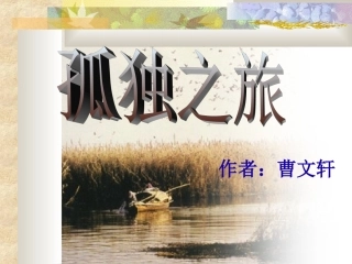 《孤独之旅》课件(赵永明)
