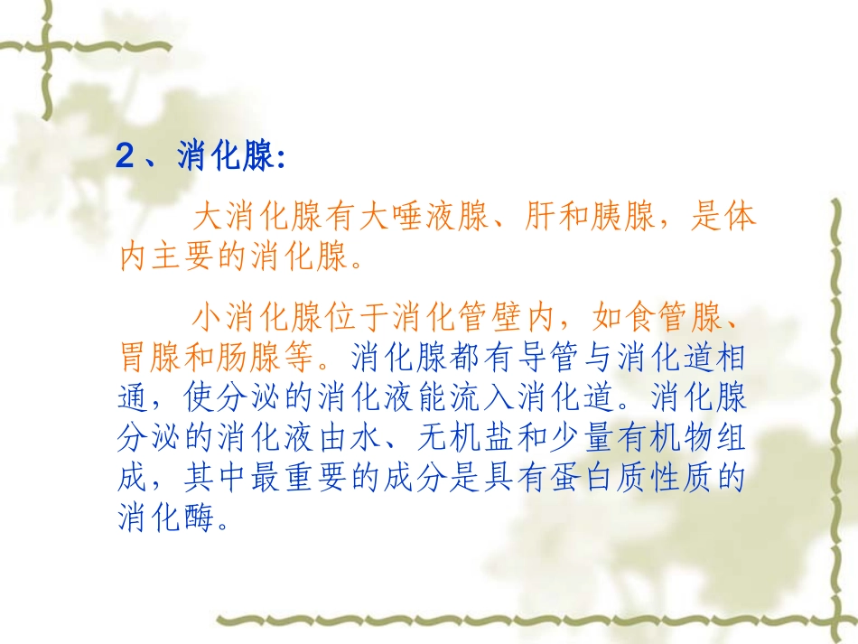 食物的消化与吸收_第3页