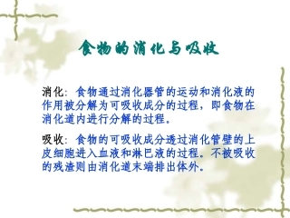 食物的消化与吸收
