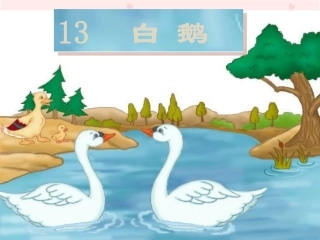 《白鹅》教学演示课件3