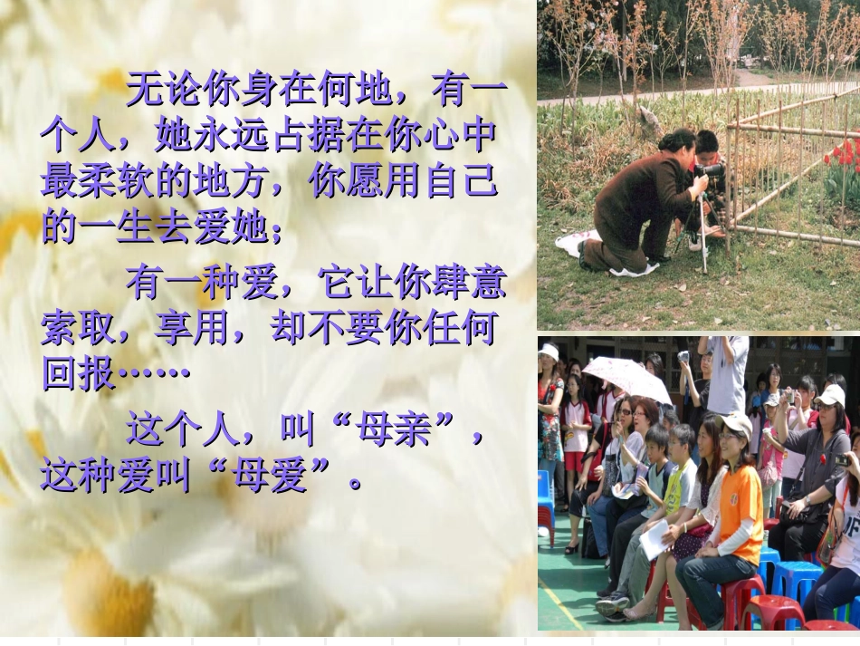 献给母亲的歌_第3页