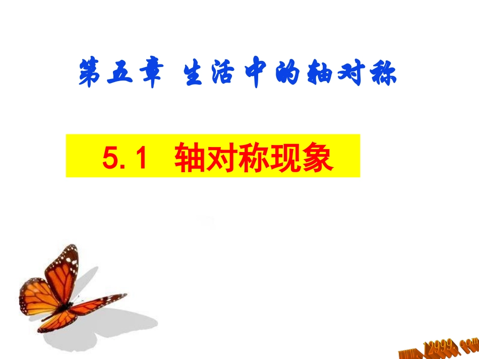 轴对称现象课件_第1页