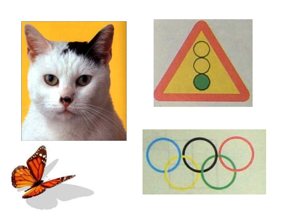 轴对称现象课件_第3页