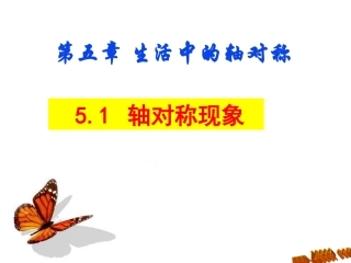 轴对称现象课件