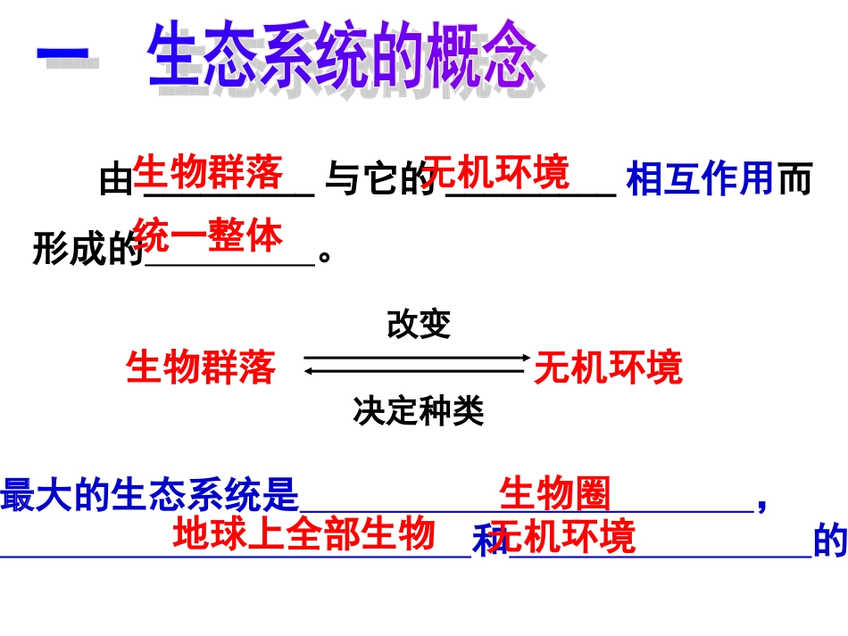 生态系统的结构_第3页