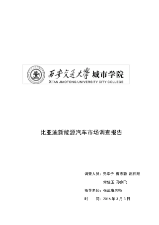 西安比亚迪新能源汽车市场调查报告