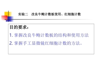 实验二福医大红细胞计数