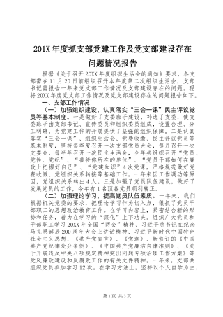 201X年度抓支部党建工作及党支部建设存在问题情况报告