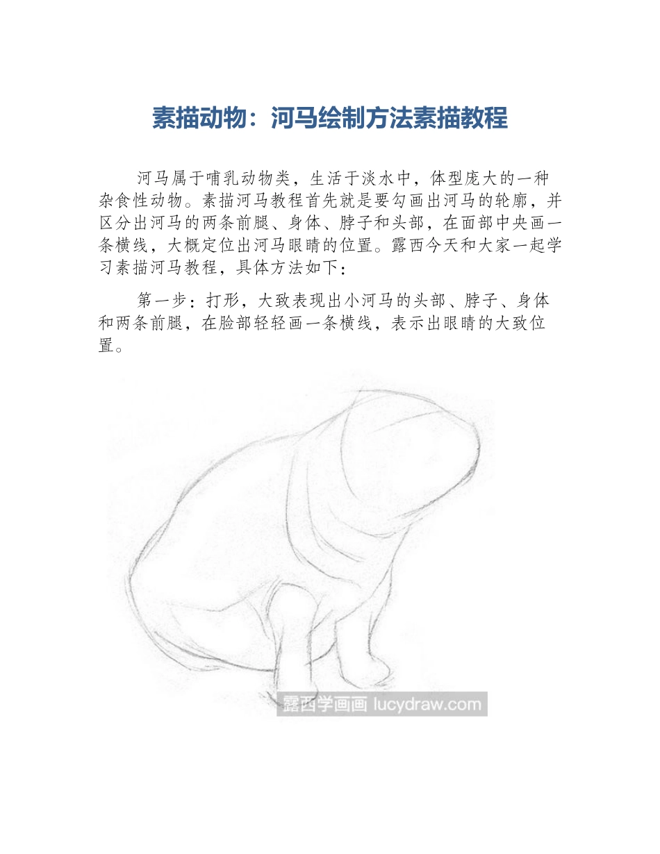 素描动物：河马绘制方法素描教程_第1页