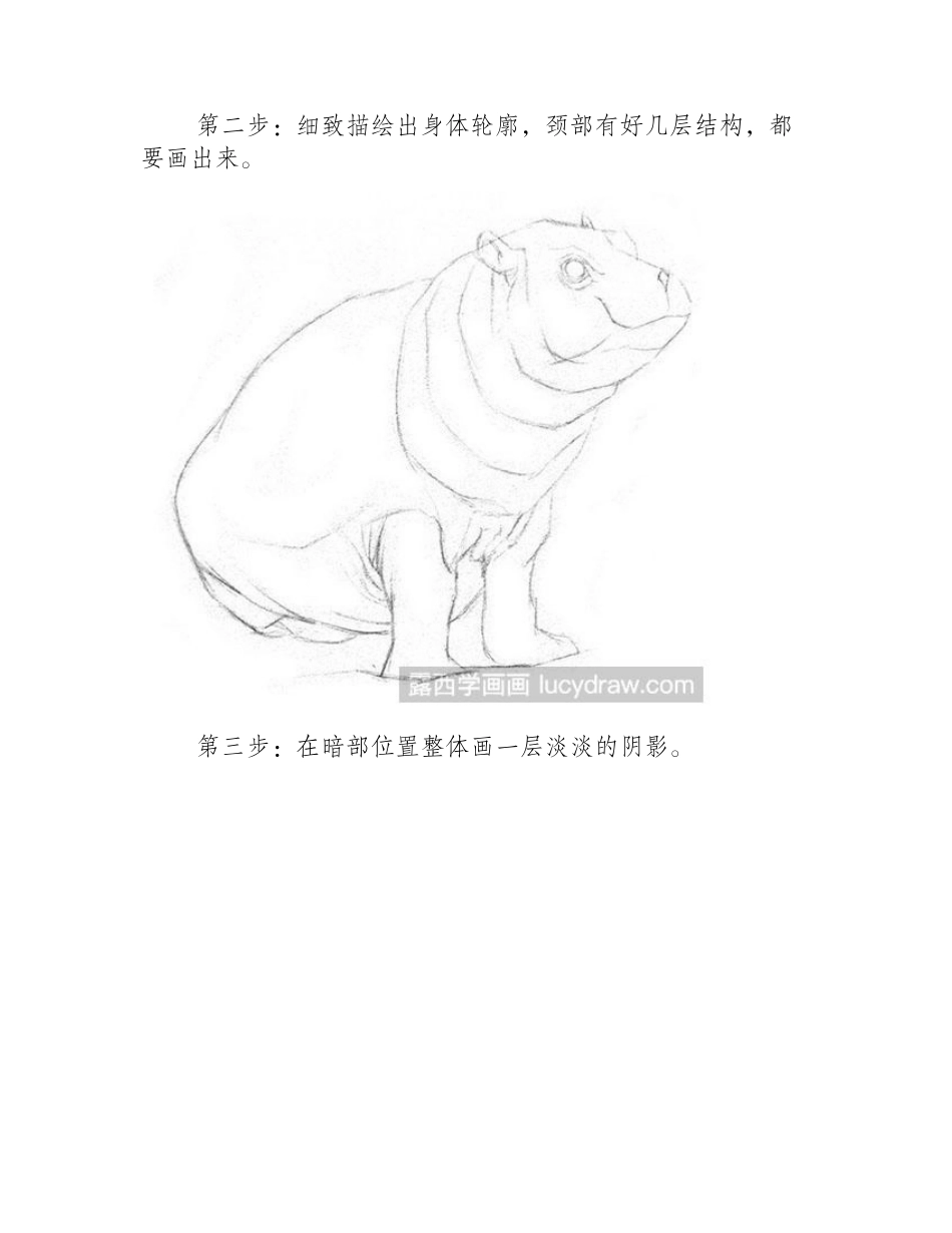 素描动物：河马绘制方法素描教程_第2页