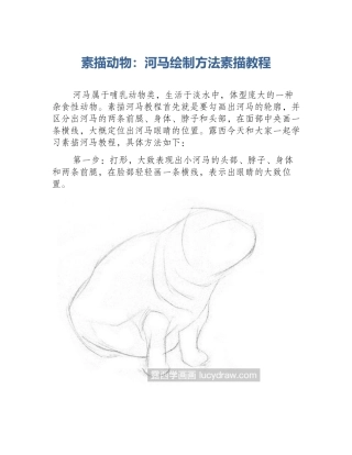 素描动物：河马绘制方法素描教程