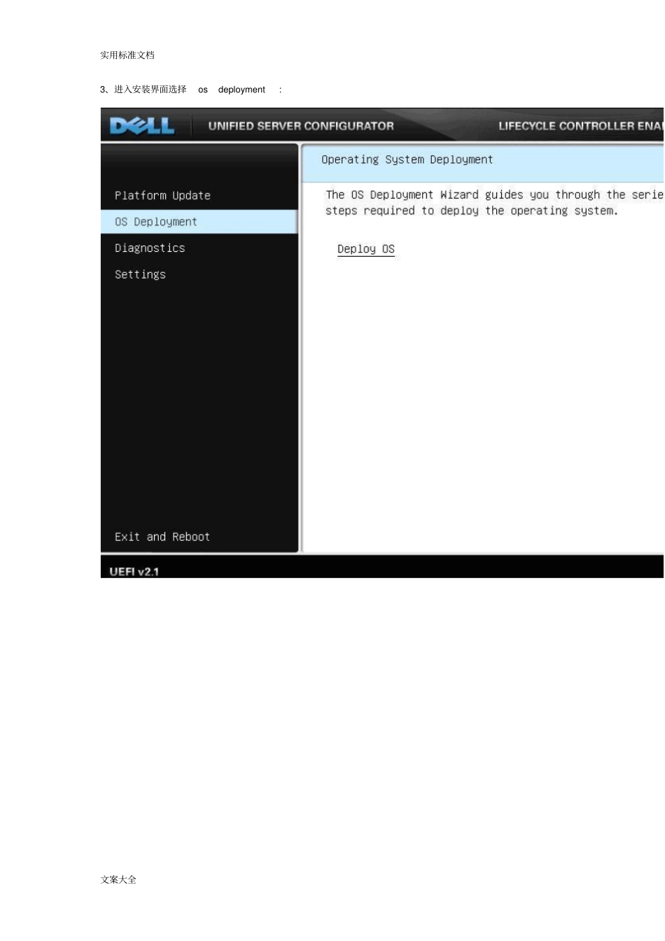 DELL服务器安装linux系统_第2页