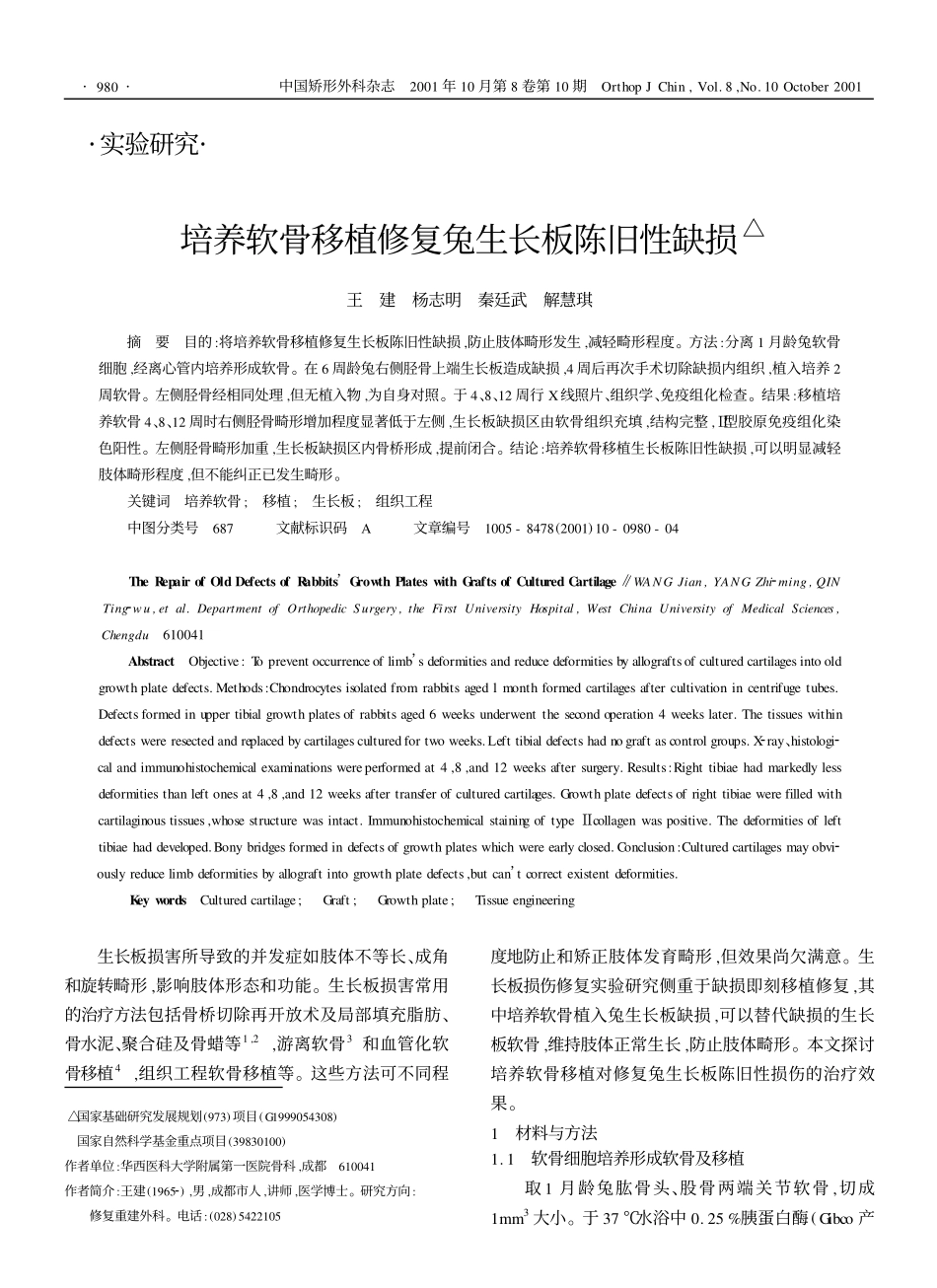 培养软骨移植修复兔生长板陈旧性缺损△_第1页