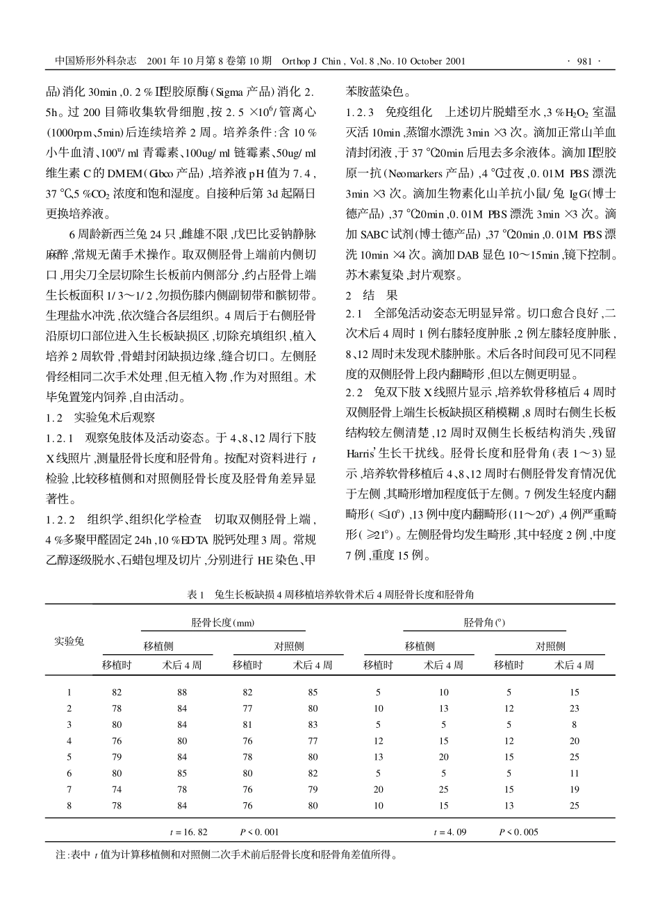 培养软骨移植修复兔生长板陈旧性缺损△_第2页