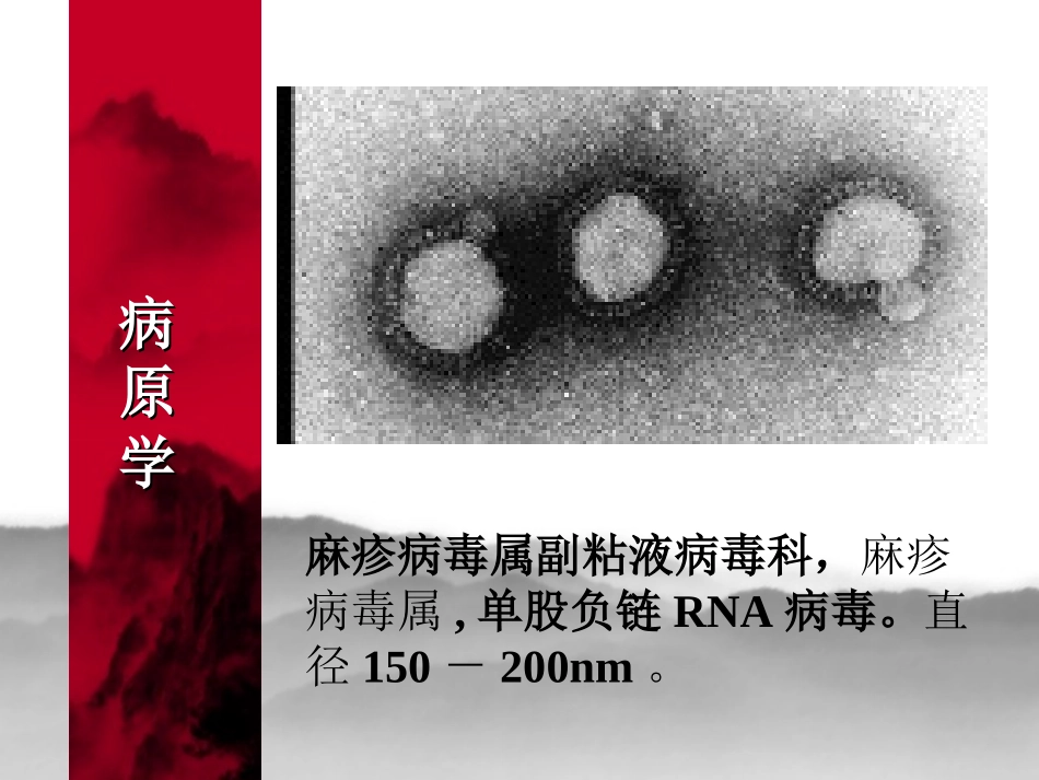 麻疹.ppt2_第3页