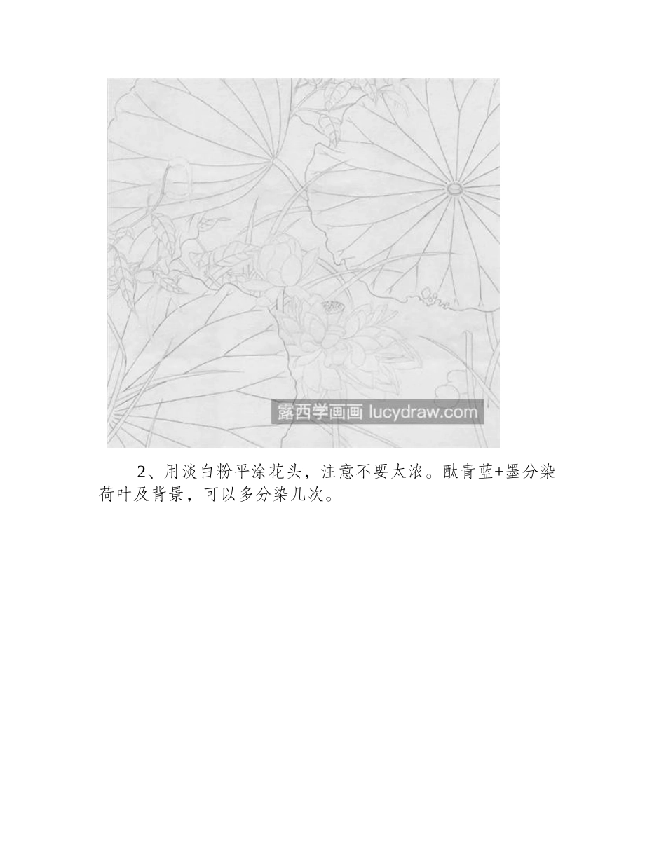 盛开的荷花怎么画_如何画出荷花韵味_工笔画教程_第2页