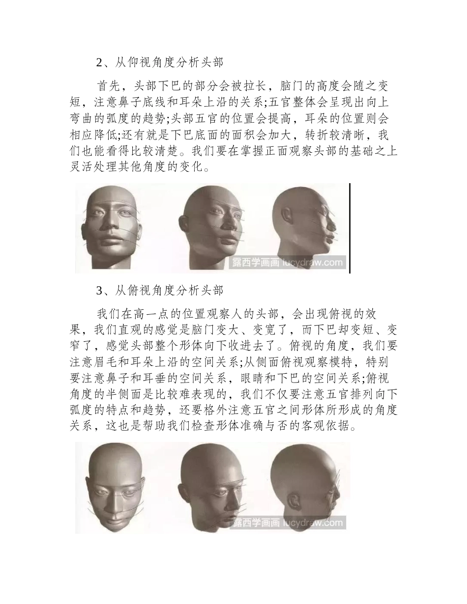 素描基础教程：素描头像透视讲解素描教程_第2页