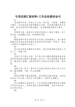 专项巡视汇报材料+工作总结素材金句