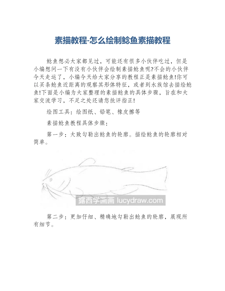素描教程-怎么绘制鲶鱼素描教程_第1页