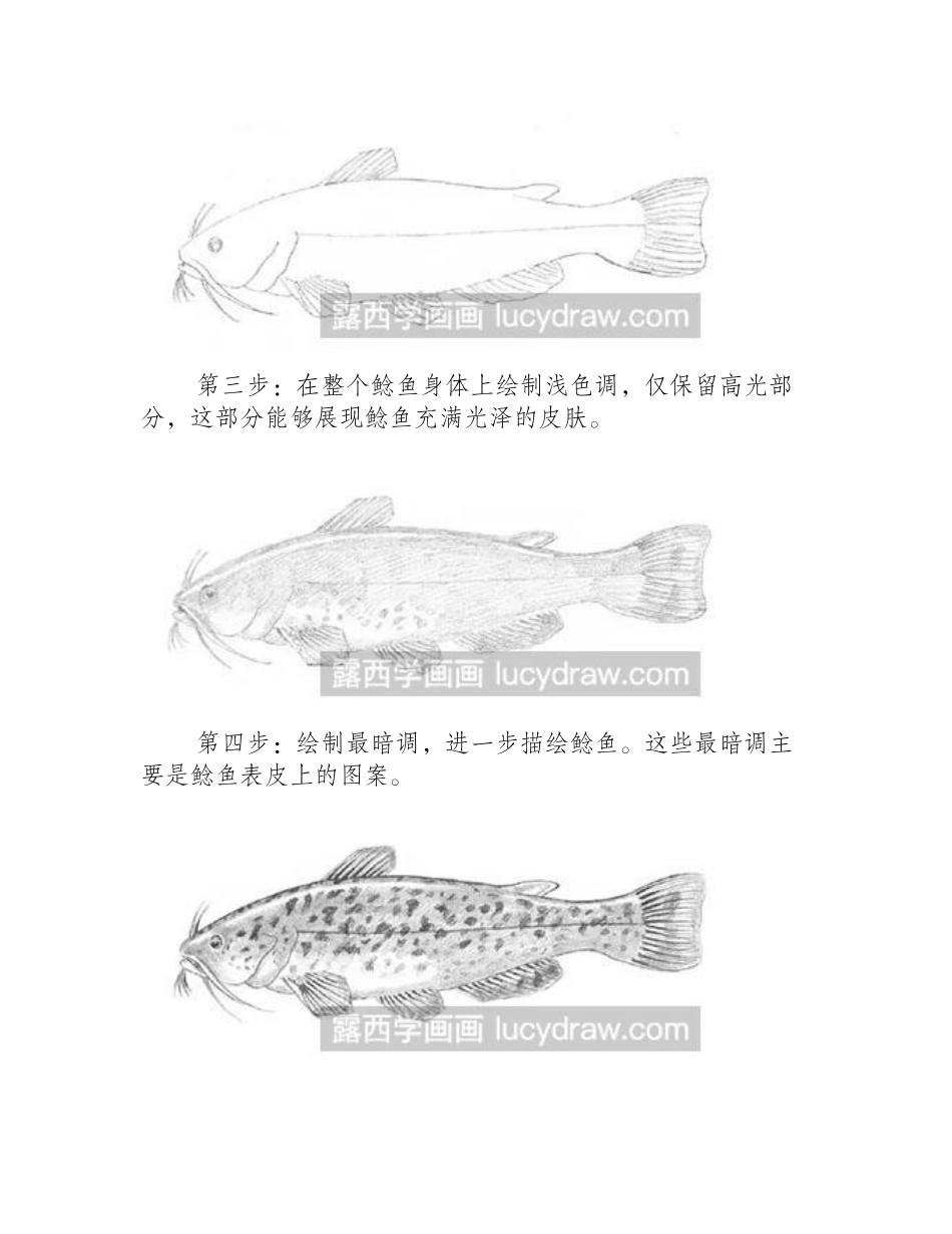 素描教程-怎么绘制鲶鱼素描教程_第2页