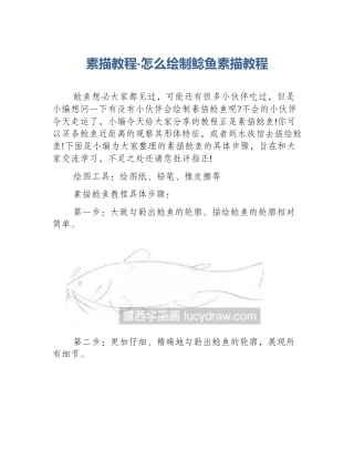 素描教程-怎么绘制鲶鱼素描教程